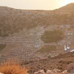 Ζωντάνεψε η έρημος του Γκιώνα