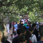 Ζωντάνεψε η έρημος του Γκιώνα