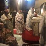 Χειροτονία Μητροπολίτου Νέας Ζηλανδίας