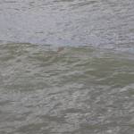 Θεοφάνεια στην Ι. Μητρόπολη μας