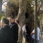 Εορτή Γενέσιου της Θεοτόκου