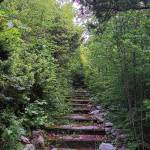 Ο Όσιος Νικηφόρος ο λεπρός στην Ι.Μ. Γουμενίσσης