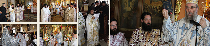 xerotonia banner 15 xryso